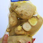 Ginger Packaging Plastic Mesh Bag HDPE PP Net Vegetable Bags